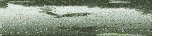 a bird is flying over a body of water