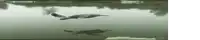 a bird is flying over a body of water