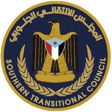 transitional council