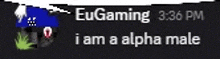 eugaming 3:36 pm i am an alpha male