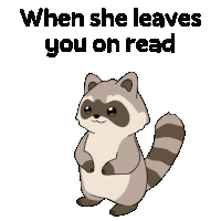 a cartoon of a raccoon holding a cell phone with the words when she leaves you on read below it