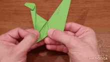GIF