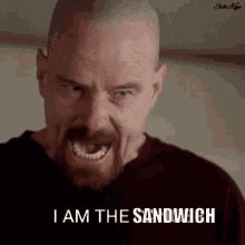 I Am The Danger I Am The Sandwich GIF - I Am The Danger I Am The Sandwich Walter White GIFs