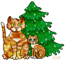 pine tree cats