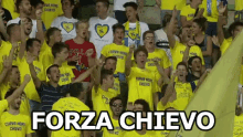 Chievo Ac Chievo Verona Calcio Calciatore Goal Gol GIF - Chievo Chievo Verona Football GIFs