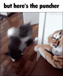 But Heres The Puncher Punching Cat GIF - But Heres The Puncher Punching Cat Cat Punching GIFs