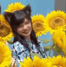 寺田蘭世 乃木坂46 Ranze Terada GIF - Sun Flower Cat Ears Ranze Terada GIFs