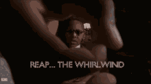 Stevie Reap The Whirlwind GIF