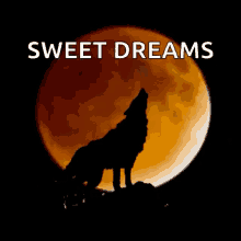 sweet dreams wolves full moon howling