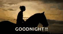 Horse Goodnight GIF - Horse Goodnight Hug GIFs