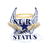 Star Status Sticker