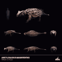 Prehistoric Kingdom Ankylosaurus Magniventris GIF - Prehistoric Kingdom Ankylosaurus Magniventris Walking GIFs