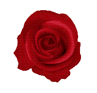 a green rose is on a white background with the words picmix on the bottom