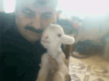 a man with a mustache holds a small white animal in his hands