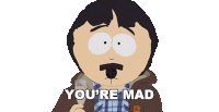Youre Mad Randy Marsh Sticker - Youre Mad Randy Marsh South Park Japanese Toilet Stickers