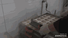 a person is putting cookies on a tray that says made in animotica on the bottom