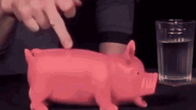 Тащи свиней
