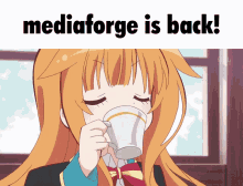 Mediaforge Mediaforge Is Down GIF - Mediaforge Mediaforge Is Down Mao Amatsuka GIFs