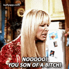 a woman is standing in front of a refrigerator and saying `` nooooo ! you son of a bitch '' .