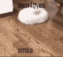 Sam Loves Omba Omba GIF - Sam Loves Omba Omba GIFs