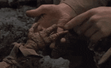 a close up of a person holding a snake 's hand