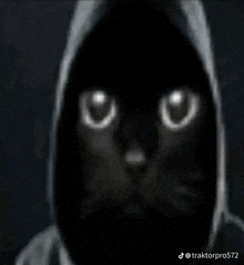 a black cat wearing a hooded jacket with glowing eyes in the dark .