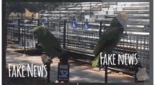 Fake News GIF - Fake News Trumpanzees GIFs