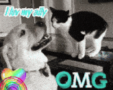 a dog and a cat are looking at each other with omg written in the bottom right corner