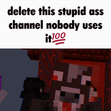 a picture of a minecraft character next to a message that says delete this stupid ass channel nobody uses it 100