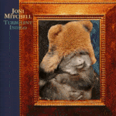 joni mitchell 's turbulent indigo has a picture of a cat in a frame
