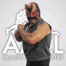 Agrupación Mexicana De Lucha Libre Amll GIF - Agrupación Mexicana De Lucha Libre Lucha Libre Amll GIFs