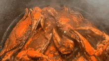 a bunch of crabs are cooking in a pan