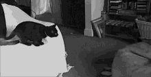 a black cat is sitting on top of a white blanket in a living room .