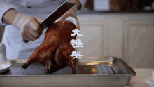 Kill The Ducks The Thick Duck GIF - Kill The Ducks The Thick Duck Cooking GIFs