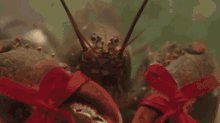 Lobster Homard GIF - Lobster Homard Dua Lipa GIFs