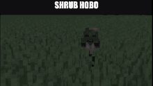 shrub hobo