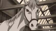 Vampire Knight Horse GIF - Vampire Knight Horse Neigh GIFs