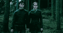 Apparition Harry Potter GIF - Apparition Harry Potter Magic GIFs