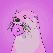 Donut Donuts GIF - Donut Donuts What GIFs