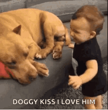 Dog Kissing GIF