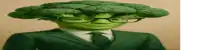 a man with broccoli on his head and glasses