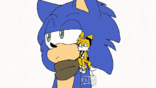 Sonic X Tails GIF - Sonic X Tails GIFs