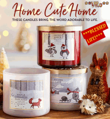 holidays candles hedgehog blessed life home cute home