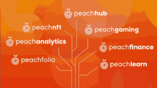 Peach Hub Ecosystem Smarter GIF - Peach Hub Ecosystem Ecosystem Smarter GIFs