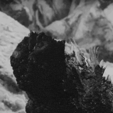 a black and white photo of a rock in the snow