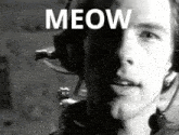Meow Savage Garden GIF - Meow Savage Garden Darren Hayes GIFs