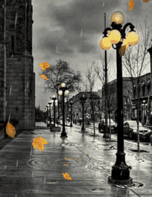 Rain Otono GIF - Rain Otono Lluvia GIFs