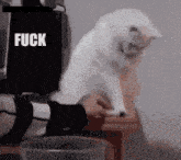 a white cat is sitting on a table next to a trash can with the word fuck on it .