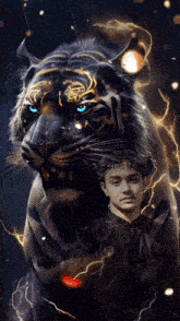 a man stands in front of a tiger with blue eyes
