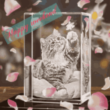 Happy Weekend Kitten GIF - Happy Weekend Kitten Box GIFs